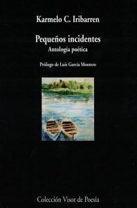 Pequeños incidentes