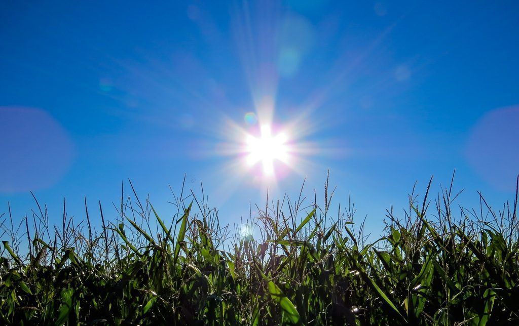 sol