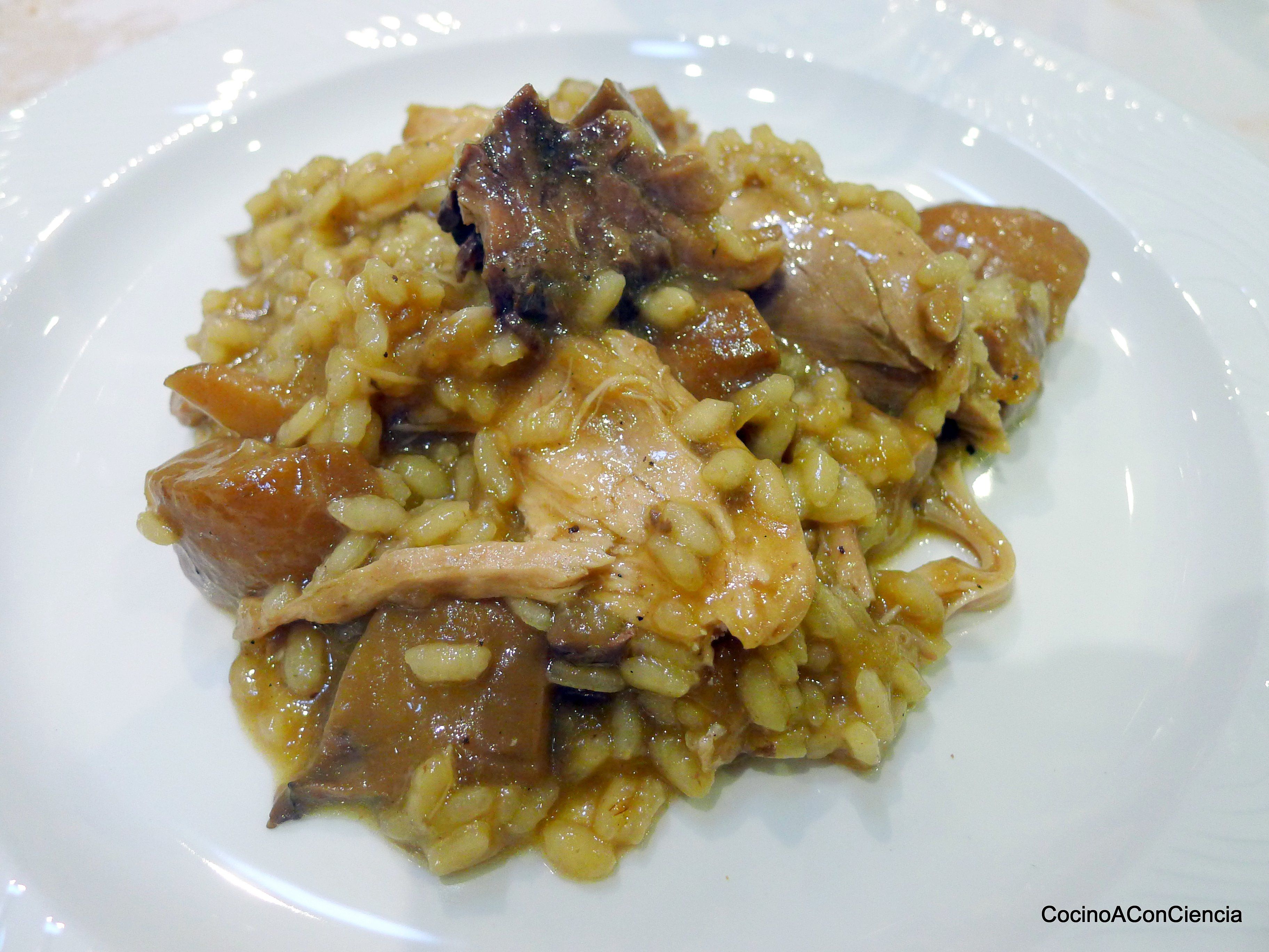 Arroz con perdiz encebollada y boletus