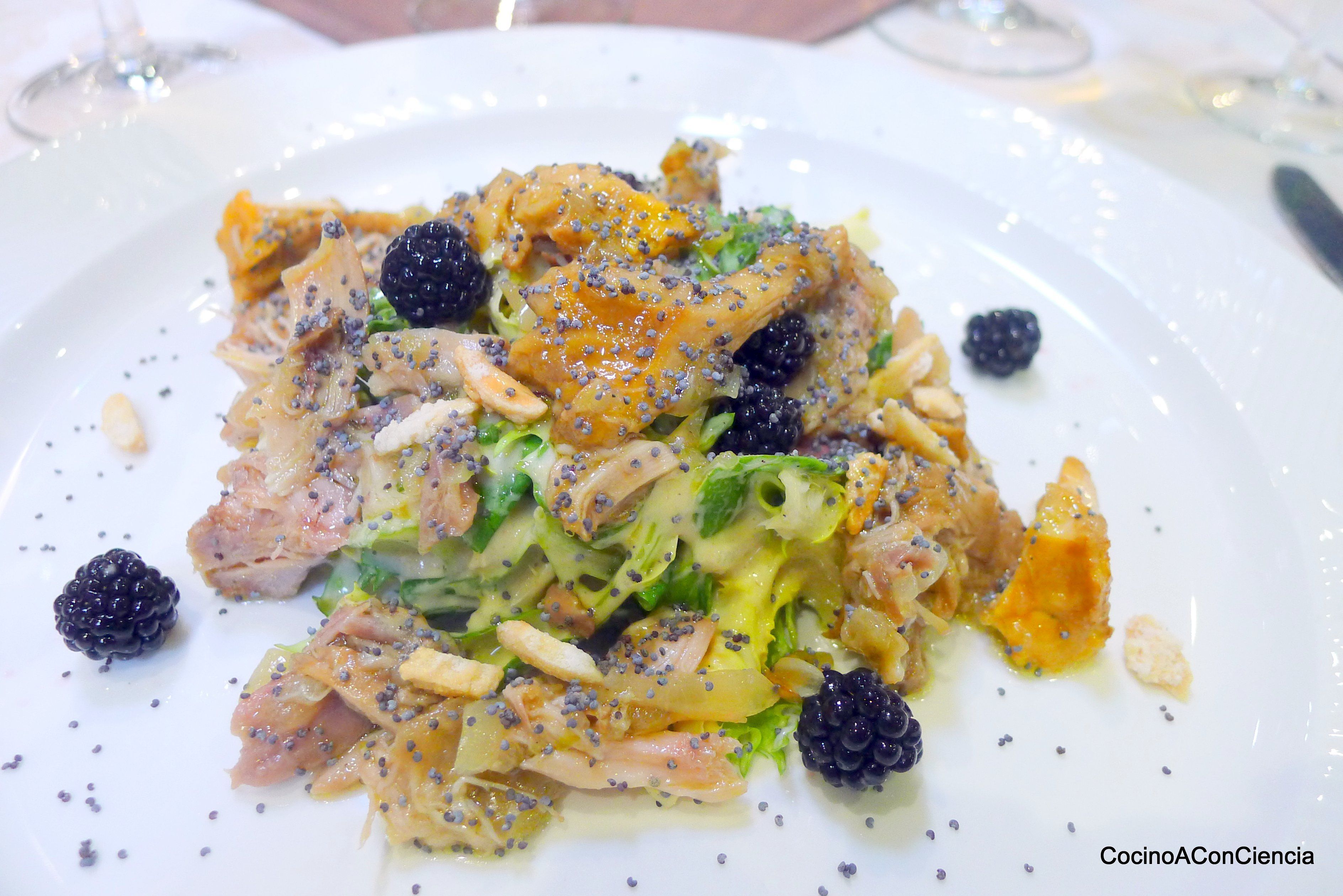 Ensalada de conejo y chantarelas