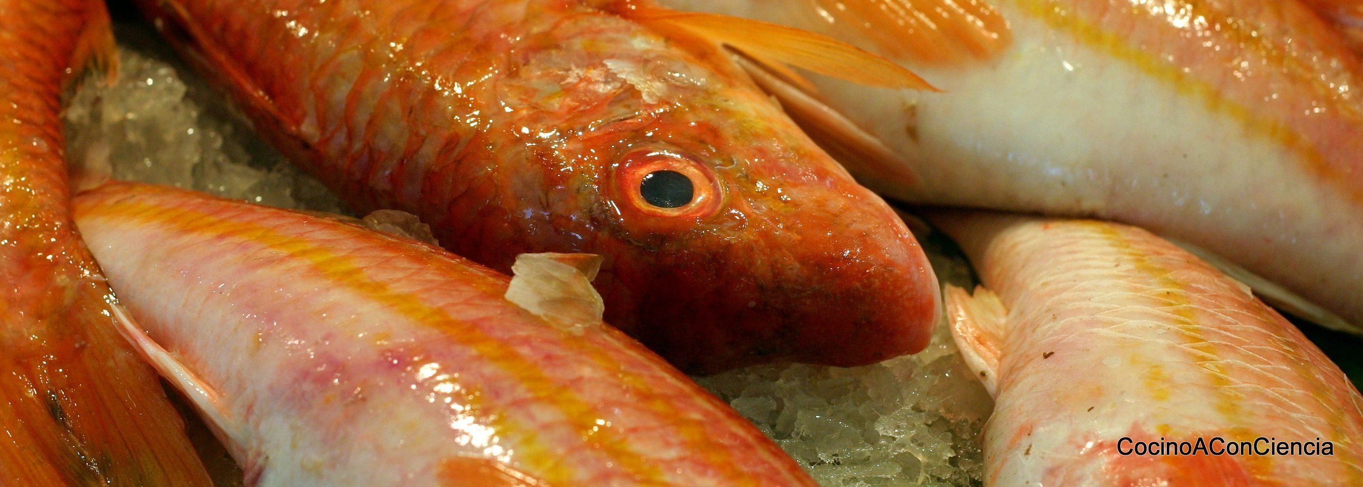 Pescado fresco